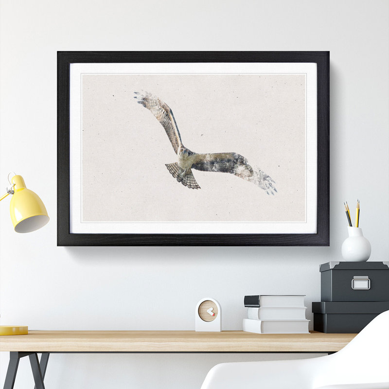 Osprey Bird - Framed Print, 24cm H x 33cm W x 2cm D, Black Framed