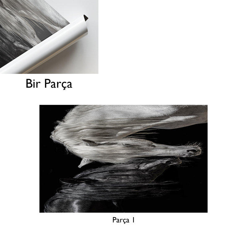 Décoration murale, décoration sur toile, reproduction sur toile, cheval noir et blanc, toile décorée, affiche de campagne, œuvre d'art moderne, toile animal,