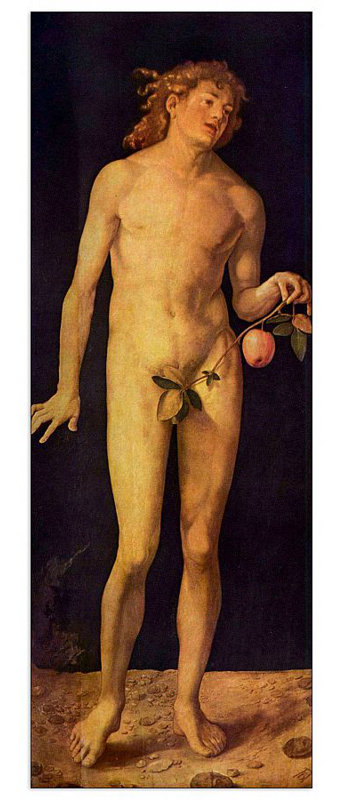 Albrecht Dürer - Wrapped Canvas Print