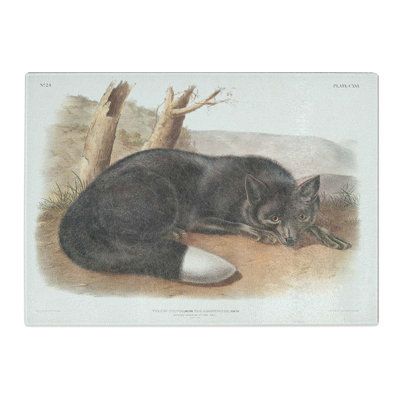 Tempered Glass American Fox by J.W. Audubon Chopping Board