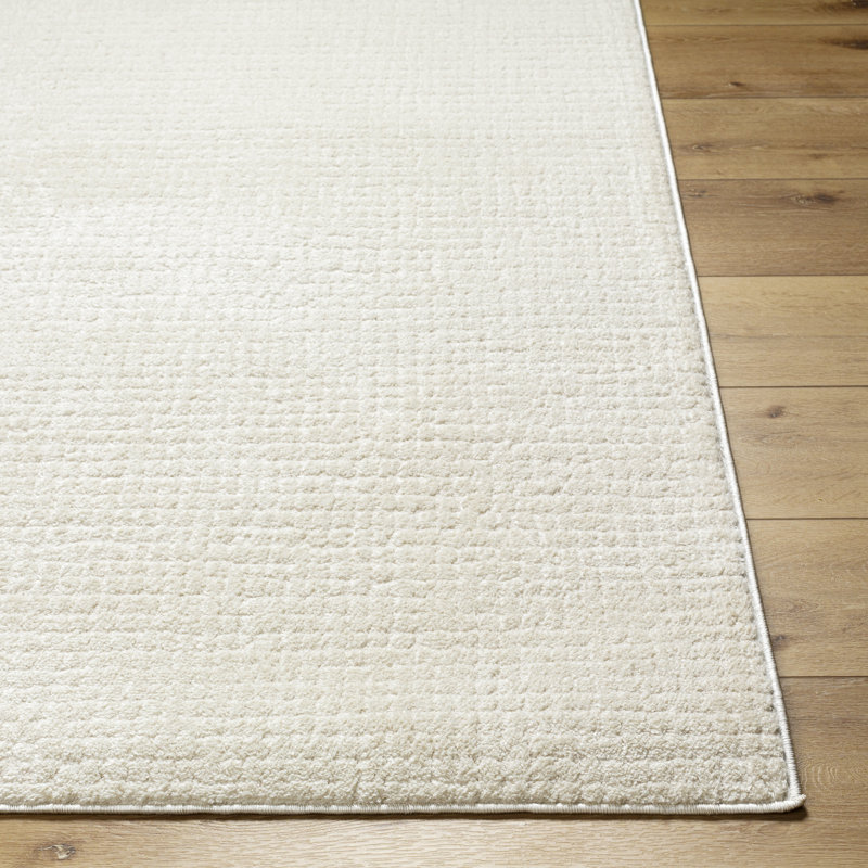 Arny Solid Color Machine Woven Polyester Area Rug in Cream