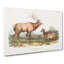 American Elks - Wrapped Canvas-55368572