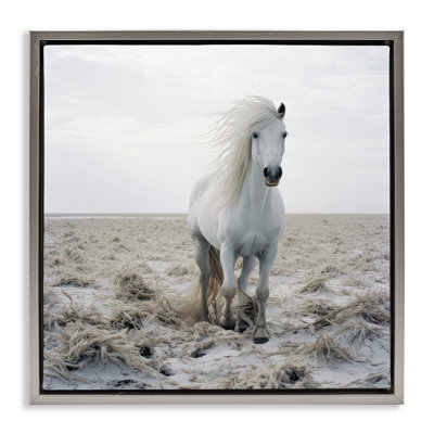 «Windswept Beach Horse», art mural encadré sur toile flottante par Ray Powers