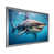 Silver Single Picture Framed