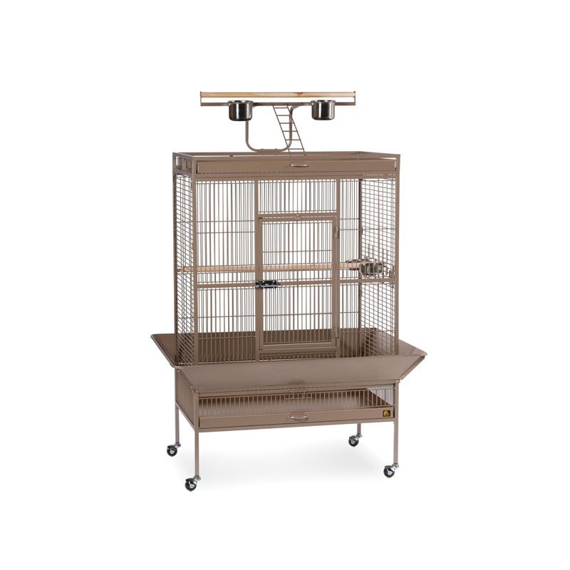 Cage à oiseau avec roues, support, perchoir, plateau Lucile, Coco, Grand (H 63 po x l 22 po x P 30 po)