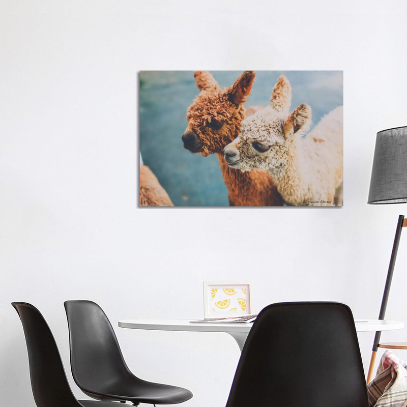 Baby Alpacas by Melissa Hanley - Wrapped Canvas Print, 101.6 cm H x 66.04 cm W x 1.91 cm D