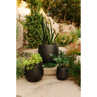 Serene Planter Pot - Bundle