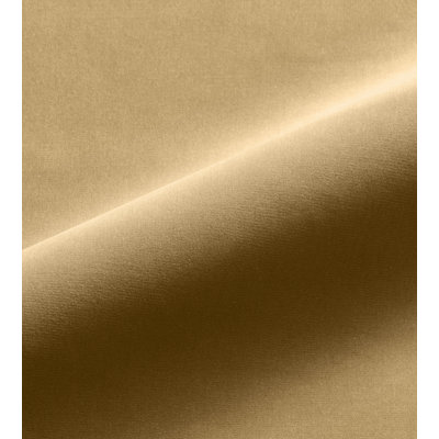Essential 100% Cotton Fabric