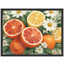 Citrus Floral Framed Wall Art Prints - Grapefruit lemon with daisies for kitchen-125212171-125212173