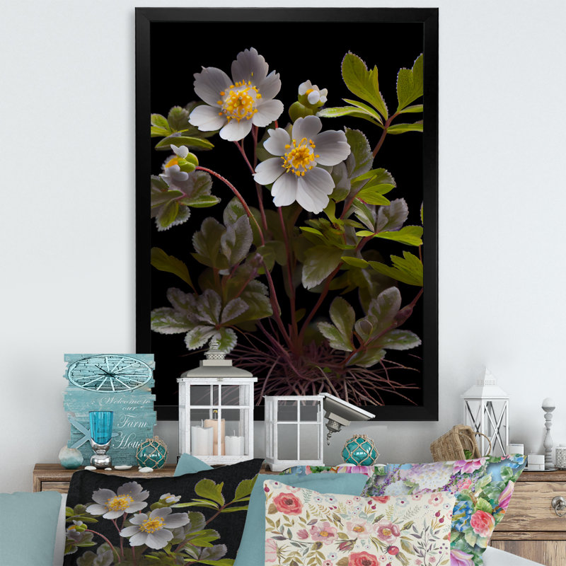 " Blossoming Diphylleia Grayi On Black IV ", Black Picture Framed Canvas, 20" H x 12" W x 1" D