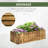 40" x 16" x 12"  Raised Garden Bed with Drainage Holes, Natural-31551645
