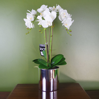 52cm Faux Flowering Plant in Pot