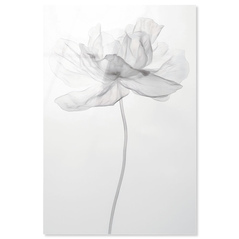 «Fragile Beauty II», art floral élégant en acrylique par Art Remedy, prêt à être accroché, H 54 po x l 36 po