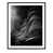 Black Framed selected