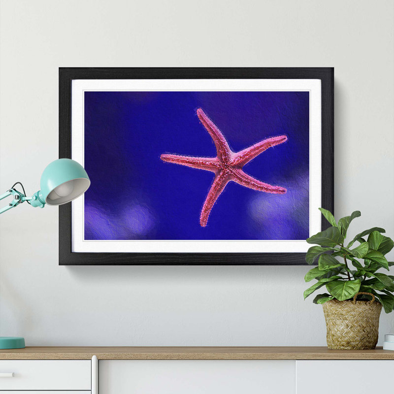 Pink Starfish - Picture Frame Graphic Art Print, 36cm H x 48cm W x 2cm D, Black Framed