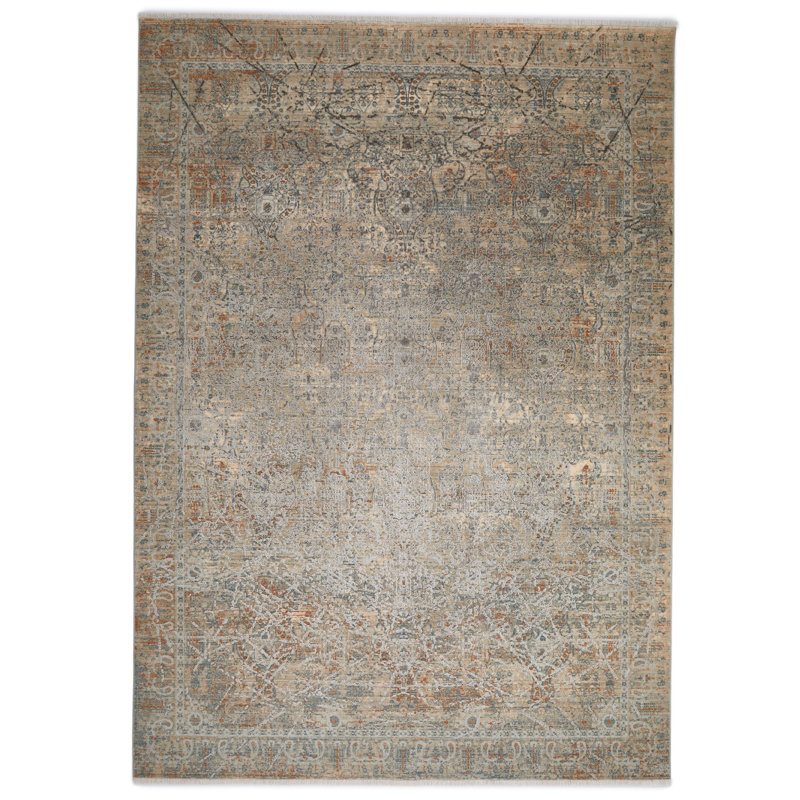Alphe Oriental Area Rug, Rectangle 240 x 340cm