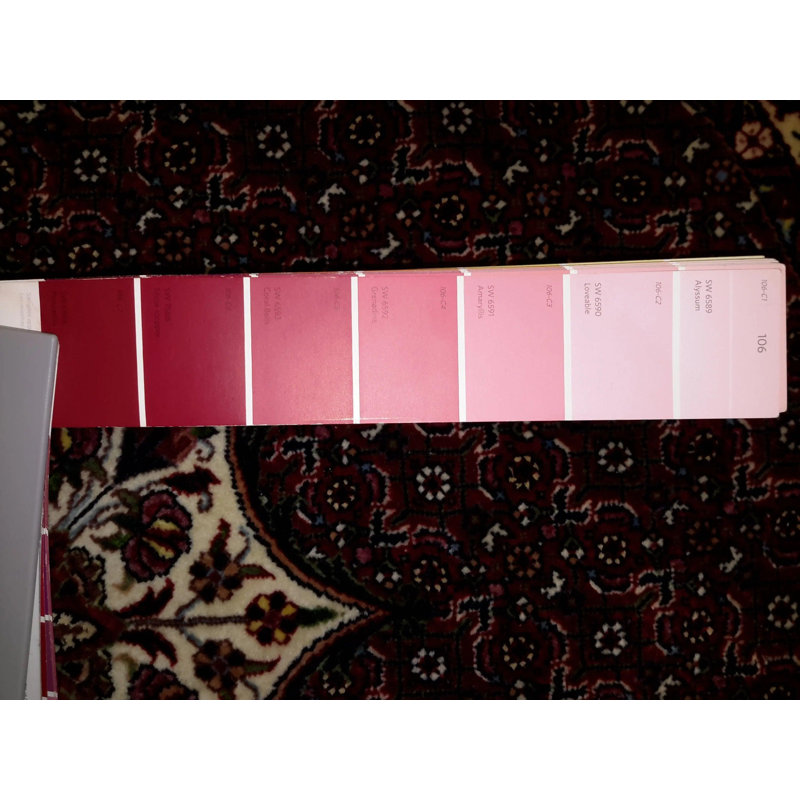 Katalynna Oriental Area Rug in Red