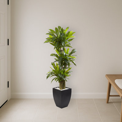 Corn Stalk Dracaena Silk Plant with Planter
