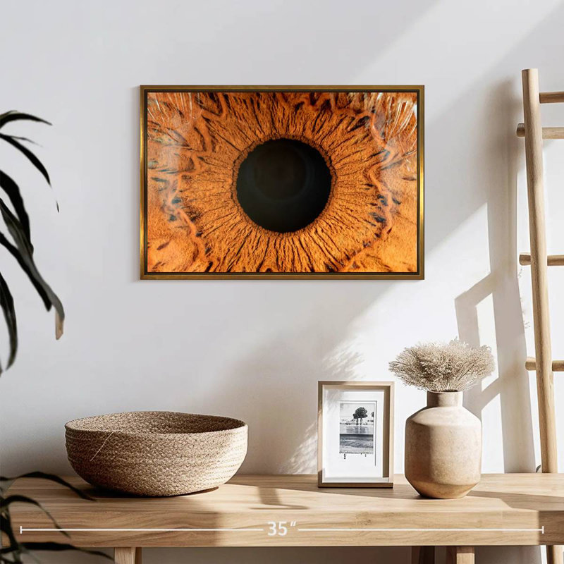 Œil humain magnifié, 19 po x 13 po, Cadre flottant doré