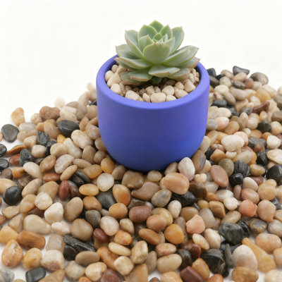 3Lb 3/8 Inch River Rocks For Plants, Natural Polished Pea Gravel For Vase Fillers, Aquariums & Succulent Decor, Mixed Color Decorative Stones