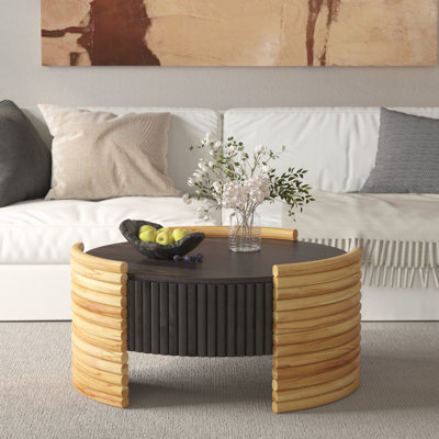Table basse avec rangement, facile à assembler
