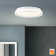 Burlie LED Flush Ceiling Light