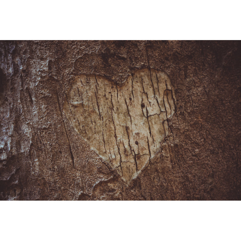 Écorce d'arbre par Focusp photoart, H 32 po x l 48 po