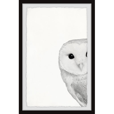 " Hidden Owl II "