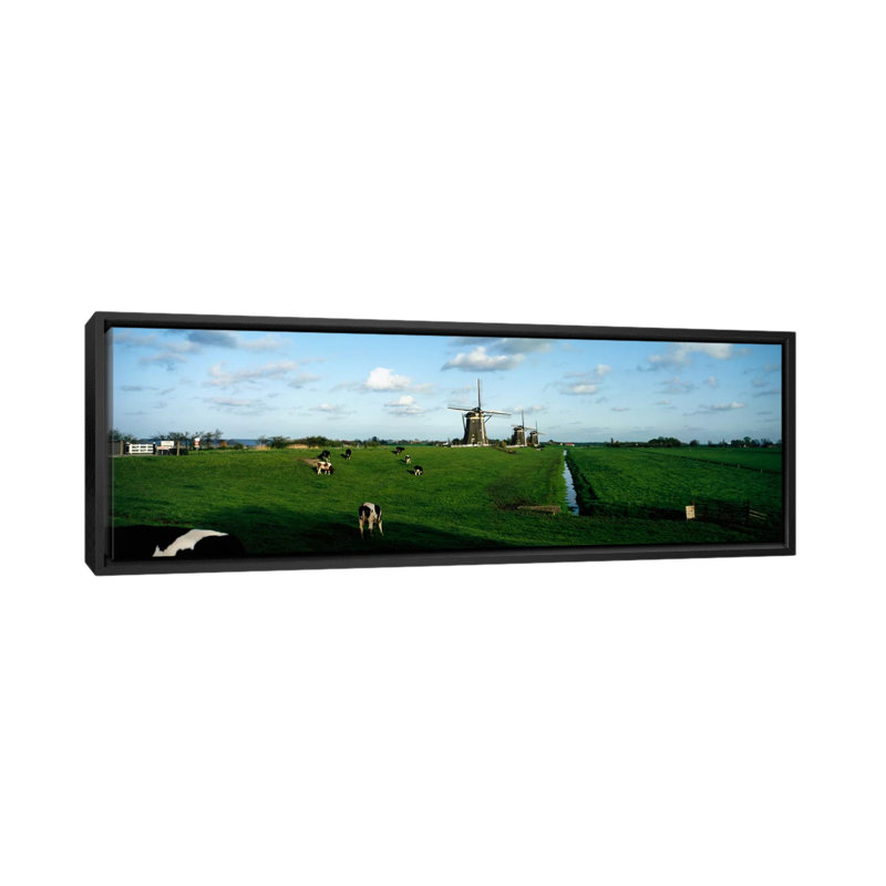 " Windmills, Netherlands " by Panoramic Images, 20" H x 60" W x 1.5" D, Wrapped Canvas