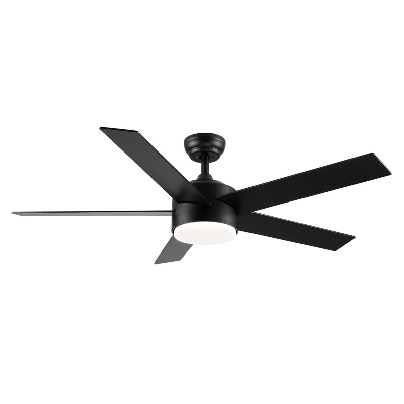Ceiling Fan with LED Lights