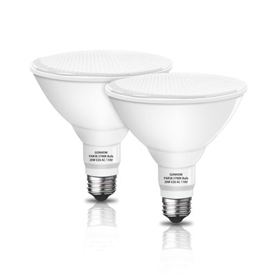 Ampoules PAR38 2700 - 2