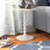 Anguilla Transitional Dia Round Pedestal End Table