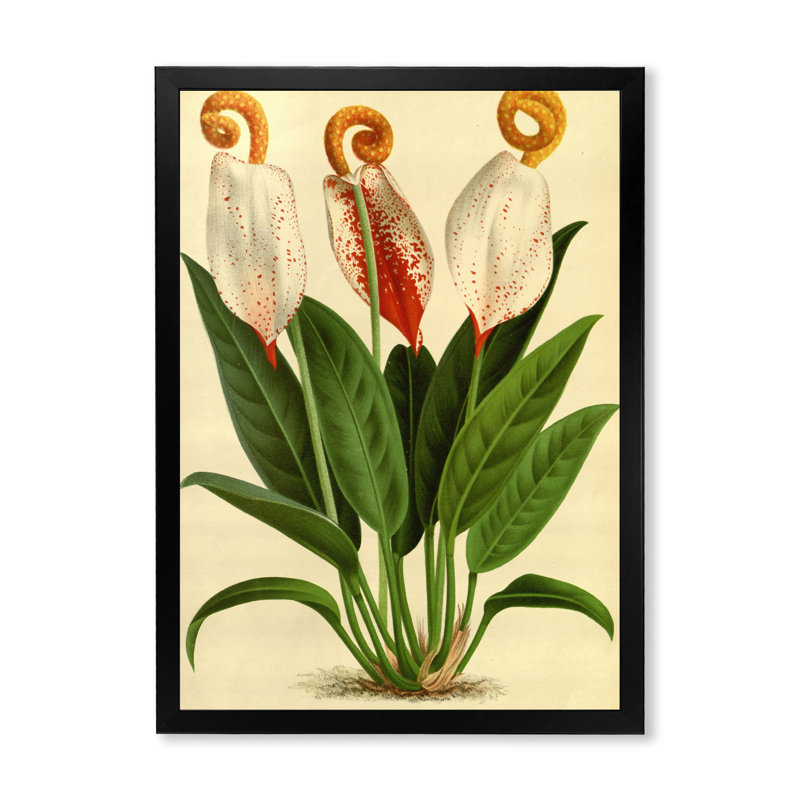 Fleurs rétro I - reproduction d'art sur toile, H 20 po x l 12 po x p 1 po, Noir