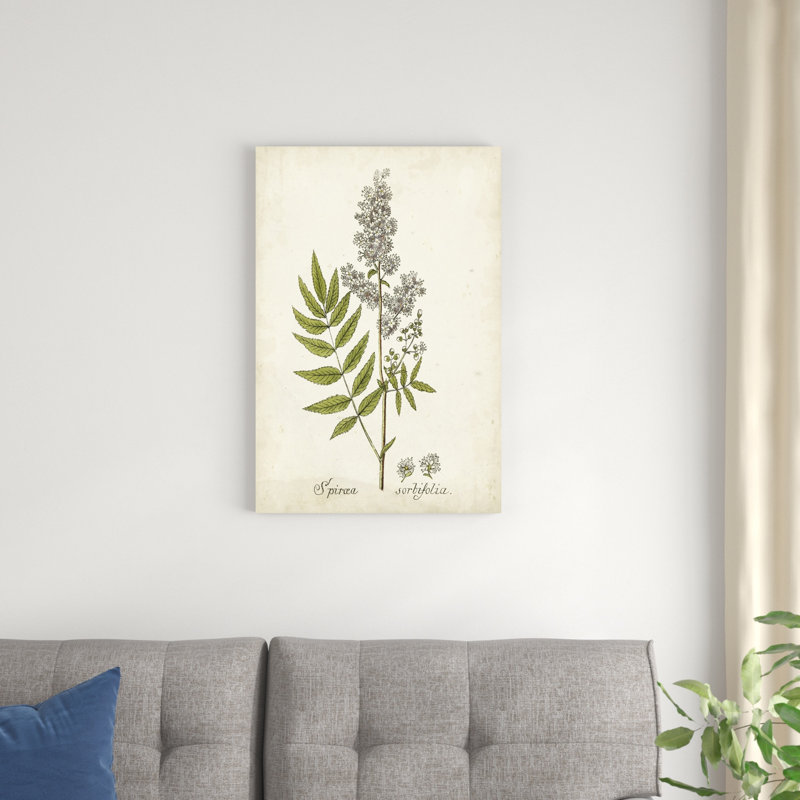 Herbe antique botanique III, H 30 po x l 20 po