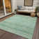 Machine Washable Indoor/Outdoor Cinead ACN1658 Aloe Rug