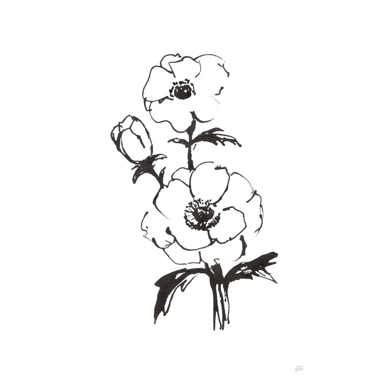 Line Anemone II by Chris Paschke - Drawing Print, 46cm H x 30cm W, Black Floater Framed