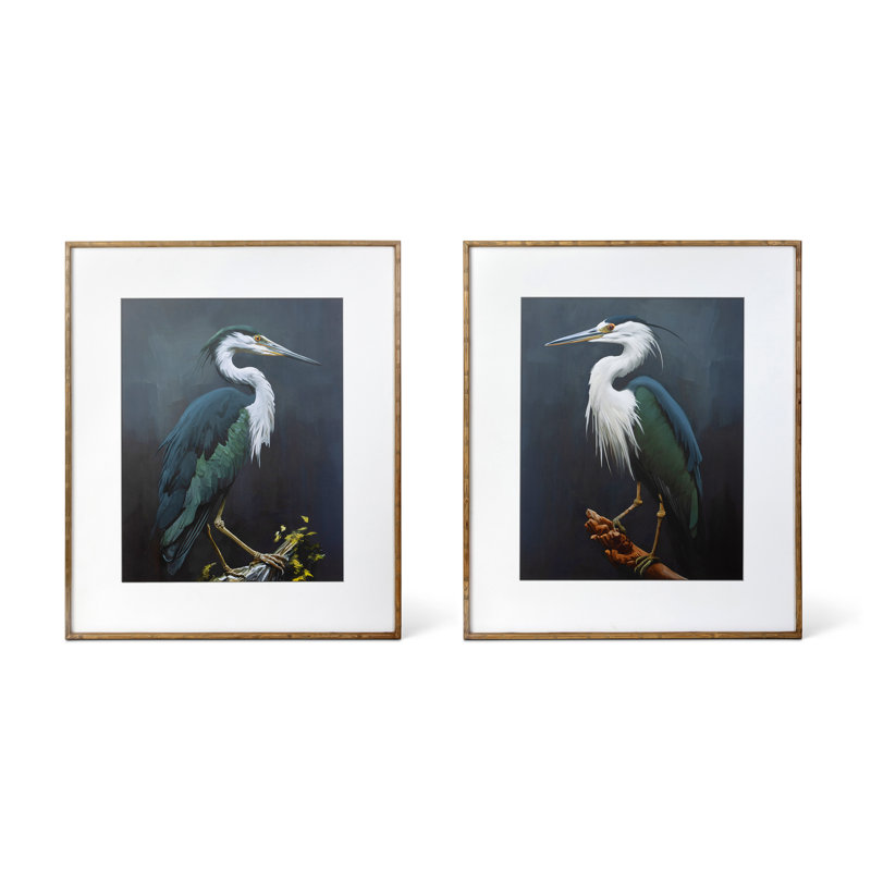 Birds