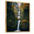 Gold Floater Framed