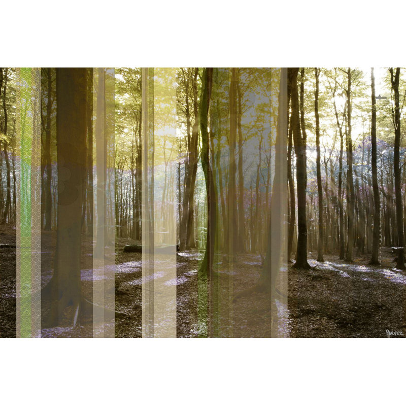 Parvez Taj - Wrapped Canvas Print, 101cm H x 152cm W