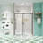 Glass Shower Door