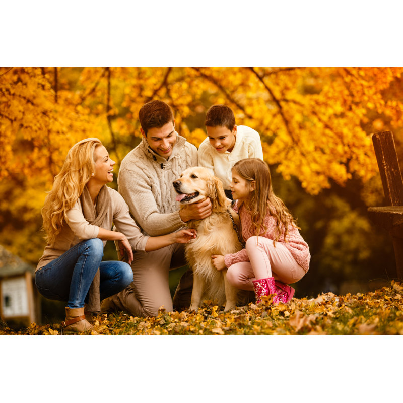 Family playing with dog in autumn park Wall Art on Canvas, 81cm H x 122cm W