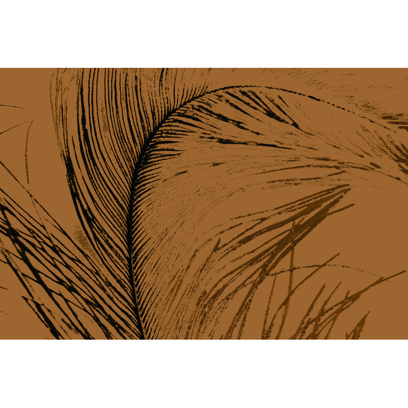 Feathered Impression I by Vision Studio - Wrapped Canvas Print, 51cm H x 76cm W
