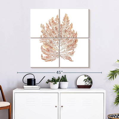 Harnek Pacific Sea Mosses I White