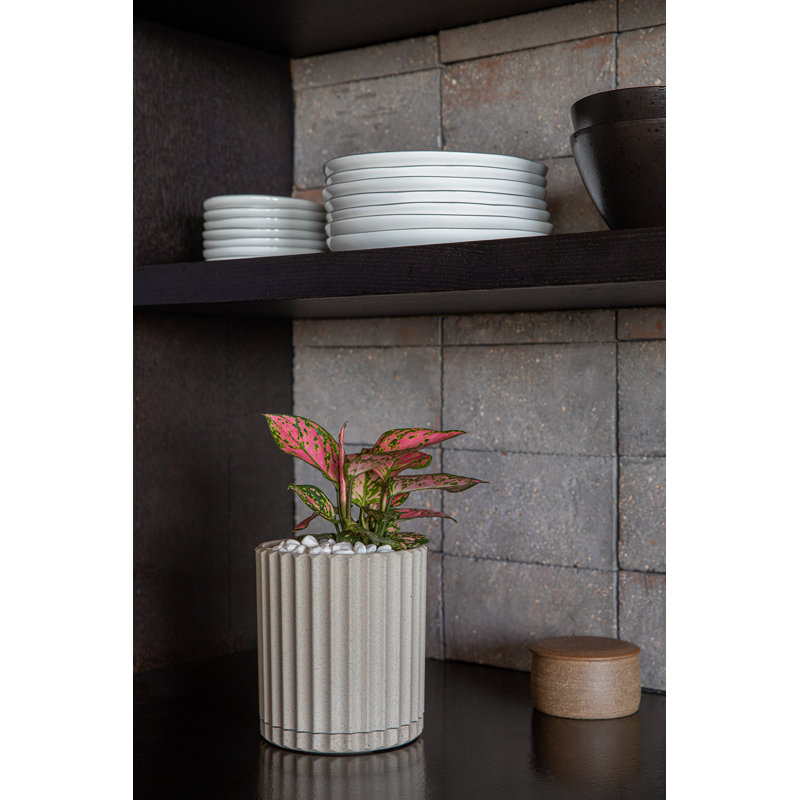 Veradek Demi Series 6" Planter, Sand, 1