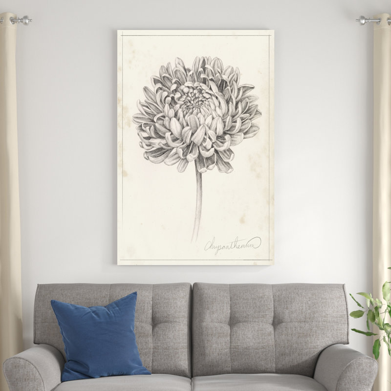 Graphite Chrysanthemum Study II, H 18 po x l 12 po x P 1,25 po