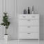 Baneen 8 Pair Shoe Storage Cabinet