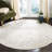 Nuss Performance Oriental Rug-559800147
