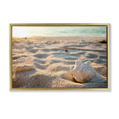 «Conch Shell in Sand», toile flottante encadrée par Susan Bryant