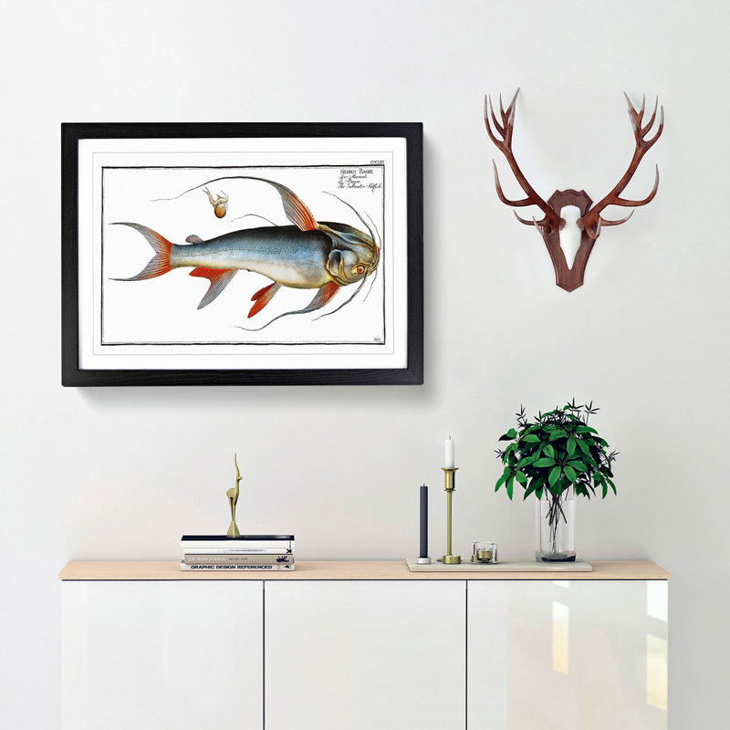 Saltwater Catfish by M.E. Bloch - Picture Frame Painting Print, 36cm H x 48cm W x 2cm D, Black Framed