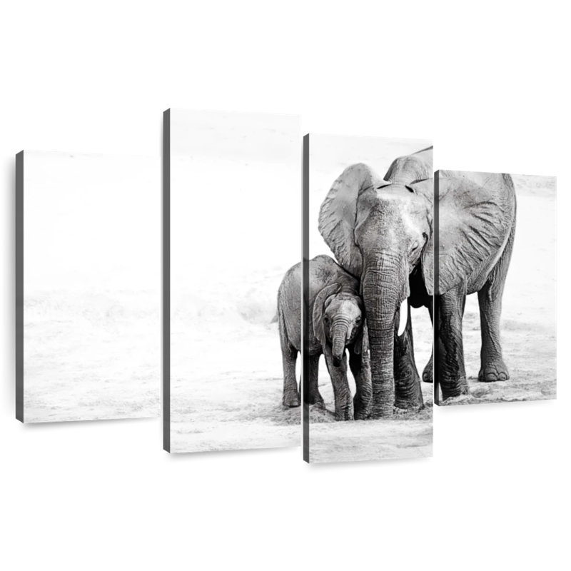 Brampt Cuddling Elephants